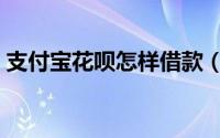 支付宝花呗怎样借款（支付宝花呗怎样还款）