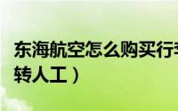 东海航空怎么购买行李托运额（东海航空怎么转人工）