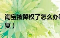 淘宝被降权了怎么办呢（淘宝被降权了怎么恢复）