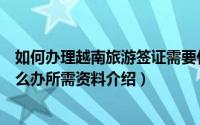 如何办理越南旅游签证需要什么材料（越南个人旅游签证怎么办所需资料介绍）