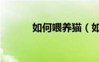 如何喂养猫（如何喂养地图龟）