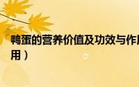 鸭蛋的营养价值及功效与作用（鸭蛋的营养价值及功效与作用）