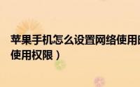 苹果手机怎么设置网络使用时间段（苹果手机怎么设置网络使用权限）