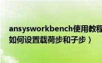 ansysworkbench使用教程（ansysworkbench怎么设置如何设置载荷步和子步）