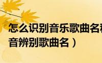怎么识别音乐歌曲名称（【教程】如何通过声音辨别歌曲名）