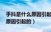 手抖是什么原因引起的 中年人（手抖是什么原因引起的）