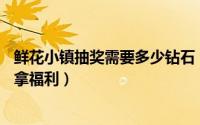 鲜花小镇抽奖需要多少钻石（淘宝金币小镇30级后如何抽奖拿福利）