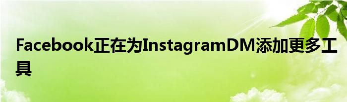 Facebook正在为InstagramDM添加更多工具