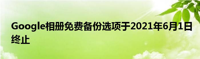 Google相册免费备份选项于2021年6月1日终止