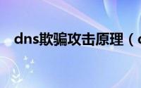 dns欺骗攻击原理（dns欺骗攻击怎么办）