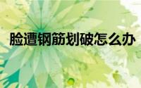 脸遭钢筋划破怎么办（龙之谷剑皇pk加点）