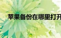 苹果备份在哪里打开（苹果备份在哪里）