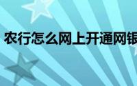 农行怎么网上开通网银（农行怎么网上转账）