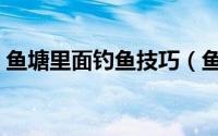 鱼塘里面钓鱼技巧（鱼塘钓鱼的九个小技巧）