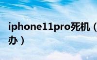iphone11pro死机（iphone11pro死机怎么办）