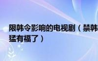 限韩令影响的电视剧（禁韩令不怕3月国产剧比进口大片还猛有福了）
