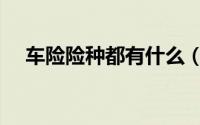车险险种都有什么（车险险种都有哪些）
