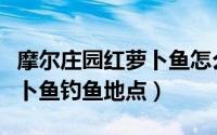 摩尔庄园红萝卜鱼怎么钓（摩尔庄园手游红萝卜鱼钓鱼地点）
