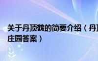 关于丹顶鹤的简要介绍（丹顶鹤的“丹顶”指的是什么蚂蚁庄园答案）