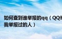 如何查到谁举报的qq（QQ举报结果在哪里查看qq怎么查询我举报过的人）