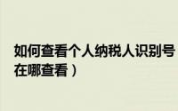 如何查看个人纳税人识别号（个人所得税app纳税人识别号在哪查看）