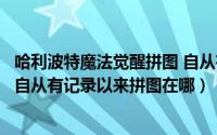 哈利波特魔法觉醒拼图 自从有记录以来（哈利波特魔法觉醒自从有记录以来拼图在哪）