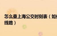 怎么查上海公交时刻表（如何查上海公交实时运行时间公交线路）