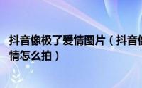 抖音像极了爱情图片（抖音像极了爱情是什么意思 像极了爱情怎么拍）