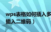 wps表格如何插入多张图片（WPS表格如何插入二维码）