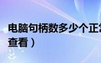 电脑句柄数多少个正常（电脑系统句柄数怎么查看）