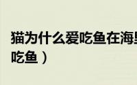 猫为什么爱吃鱼在海里又不吃了（猫为什么爱吃鱼）