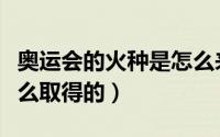 奥运会的火种是怎么来的（奥运会的火种是怎么取得的）