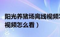 阳光养猪场离线视频怎么看（阳光养猪场离线视频怎么看）