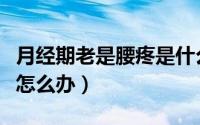 月经期老是腰疼是什么原因（月经期老是腰疼怎么办）
