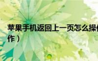 苹果手机返回上一页怎么操作（苹果手机返回上一页怎么操作）
