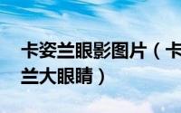 卡姿兰眼影图片（卡姿兰眼影教程 给你卡姿兰大眼睛）
