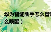 华为智能助手怎么管理车辆（华为智能助手怎么唤醒）