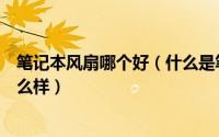 笔记本风扇哪个好（什么是笔记本电风扇笔记本电风扇有怎么样）
