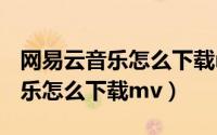 网易云音乐怎么下载mp3格式ios（网易云音乐怎么下载mv）