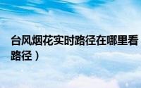 台风烟花实时路径在哪里看（支付宝怎么查看台风烟花实时路径）