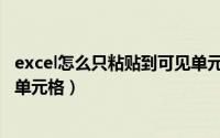 excel怎么只粘贴到可见单元格（excel怎么只粘贴复制可见单元格）