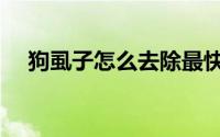 狗虱子怎么去除最快（狗虱子怎么去除）