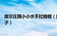 摩尔庄园小小水手拉姆帽（摩尔庄园中如何购买拉姆可爱帽子）