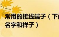 常用的接线端子（下面来介绍一下接线端子的名字和样子）