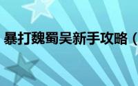 暴打魏蜀吴新手攻略（暴打魏蜀吴转生攻略）