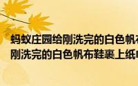 蚂蚁庄园给刚洗完的白色帆布鞋裹上纸巾答案（蚂蚁庄园给刚洗完的白色帆布鞋裹上纸巾答案）