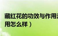 藏红花的功效与作用泡脚（藏红花的功效与作用怎么样）