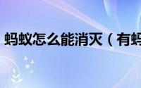 蚂蚁怎么能消灭（有蚂蚁怎么办?怎么消灭?）