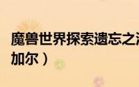 魔兽世界探索遗忘之池任务（魔兽世界探索海加尔）
