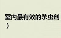 室内最有效的杀虫剂（室内最有效的杀虫方法）